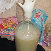 Брага. Сбраживание, осветление, ошибки